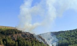 Hatay’da orman yangını