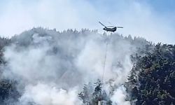 Kahramanmaraş’ta sarp arazideki yangın 3 gündür sürüyor