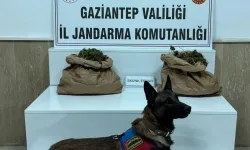 Uyuşturucu tacirine jandarma baskını