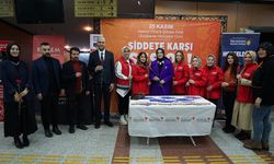 Beyhan Budak, Kadına Yönelik Şiddeti Ele Aldı