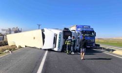 Kontrolden çıkan peynir yüklü tır devrildi