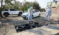 Büyükşehir’den Vektör Zararlılara Kış Baskını