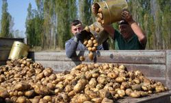 Tarımsal girdi fiyat endeksi yıllık yüzde 30,49 arttı