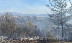 Osmaniye'nin Düziçi ilçesinde Çıkan Orman Yangını Söndürüldü