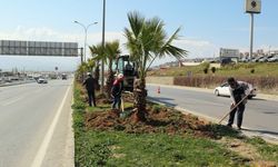 Kahramanmaraş’ta Yeşil Doku Güçleniyor