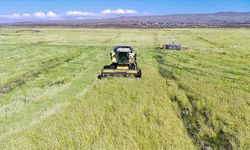 Kahramanmaraşlı Çiftçilere 30,8 Milyon TL Destek Ödemesi