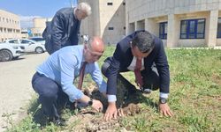 KSÜ’de Fidan Dikme Etkinliği Yapıldı