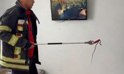 2 Gün Önce Eve Giren Yılanı İtfaiye Erleri Bulup Çıkarttı