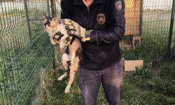 Bina Boşluğuna Düştü, 7 Saatlik Operasyonla Kurtarıldı