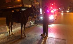 Atıyla Markete Giden Kişiye ‘Alkollü Araç Kullanma’ Cezası!