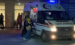 Kaldırımdaki trafik levhasına çarpan motosikletteki 2 kişi yaralandı