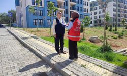 Depremin merkezinde 1 milyon kişiye psikososyal destek verildi