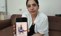 Kayıp kedi bulunmazsa kocası boşayacak