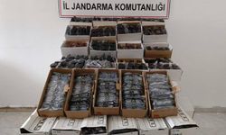 Araçta 3 bin kaçak gözlük ele geçirildi