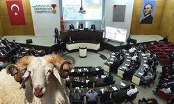 Kahramanmaraş’ta Kurban Kesim Ücretleri Açıklandı!