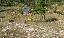 Arıcıların Yayla Mesaisi Başlıyor