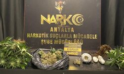 Bir Haftada 17 Zehir Taciri Tutuklandı