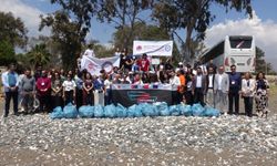 Caretta Carettaların Yuvalama Alanları Temizlendi
