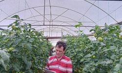 Dolu Tarım Arazilerine Zarar Verdi, Hasar Tespit Çalışması Başlatıldı