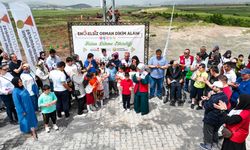 Özel Bireyler Fidan Dikti, Engelsiz Orman Yeşerdi