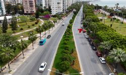 Estetiği Fidanlık Yerleşkesinden Sağlanıyor