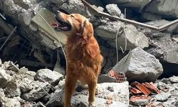 Kahramanmaraş’ta 18 Canı Kurtaran Killian Hayatını Kaybetti