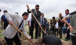 Hakim, Savcı Ve Hükümlüler Yanan Ormanı Yeşertmek İçin Fidan Dikti