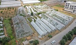 Hortum Felaketinin Boyutu Gündüz Ortaya Çıktı