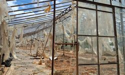Hortumun Bilançosu Belli Oldu