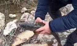 Kaçak Avcılara 176 Bin TL Ceza Uygulandı