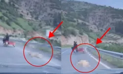 Kahramanmaraş’ta Köpeği Motosikletle Sürükleyen Şahıslar Tespit Edildi