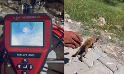 Kahramanmaraş'ta Su giderine sıkışan kedi kurtarıldı