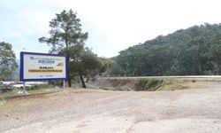 Narenciye Balına Coğrafi İşaret Geliyor