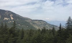 Yavşan Yaylası Doğal Miras Listesine Katıldı