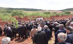 TZOB Başkanı Bayraktar,  Zirai Dondan Etkilenen Bahçeleri İnceledi