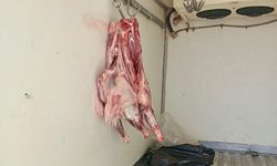 Uygun Şartlarda Taşınmayan 34 Kilo Et İmha Edildi