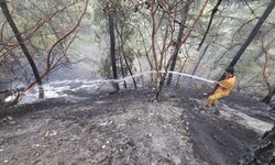 Kahramanmaraş'ta Orman Yangınına 110 Kişilik Ekip Müdahale Ediyor