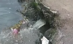 Çevre'den 1,3 milyon TL'lik ceza!