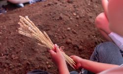 Yerel Ve Atalık Tohumlar Gelecek Kuşaklara Aktarılıyor