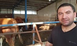 7 Hisseli Kurbandan Umre Ziyareti Çıktı Çifte Bayram Yaşadı