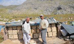 Arıcılar Kara Kovanlarını Yüksek Kesimlerdeki Yaylalara Çıkardı