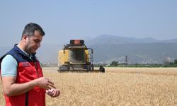 Kahramanmaraş’ta Buğday Hasadı İçin Çalışmalar Başladı