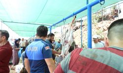 Bayram Mesaisi: 144 İhbar, 114 Acil Müdahale