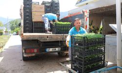 Belediye Arife Günü Mezarlıklarda Çiçek Dağıtacak