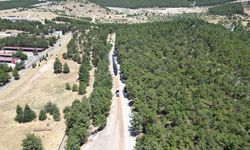 Ulaşımda Yeni Dönem: Pınarbaşı Mahallesi’nde Sıcak Asfaltla Konfor Artıyor