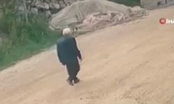 Yayla Yolunda Kayboldu, Gece Boyunca Devam Eden Aramalar Sürüyor