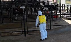 Kahramanmaraş Büyükşehir Belediyesi'nden Bayram Öncesi Hijyen Çalışmaları