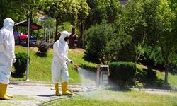 Kahramanmaraş’ta Sağlıklı Yaz İçin Kene Mücadelesi Tüm Hızıyla Devam Ediyor