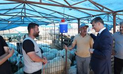 Kurban Satış Yerleri Hazır