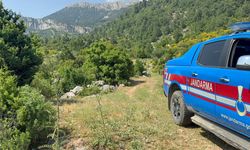 Yayla Yolunda Kaybolan Yaşlı Adam 300 Kişilik Ekiple Aranıyor